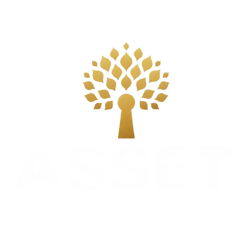 Asset